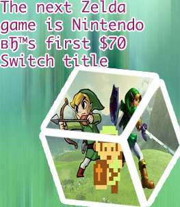 The new zelda game