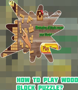 Wood block puzzle game online